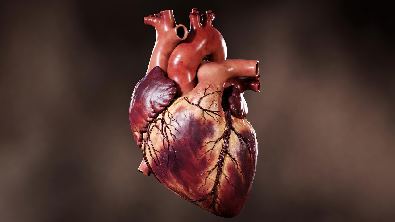 Cardiología intervencionista