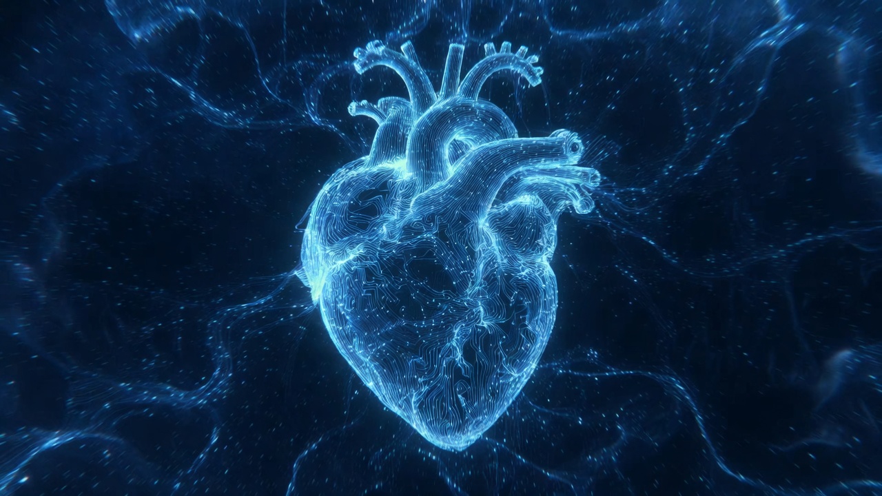 Visual cardiovascular de precisión